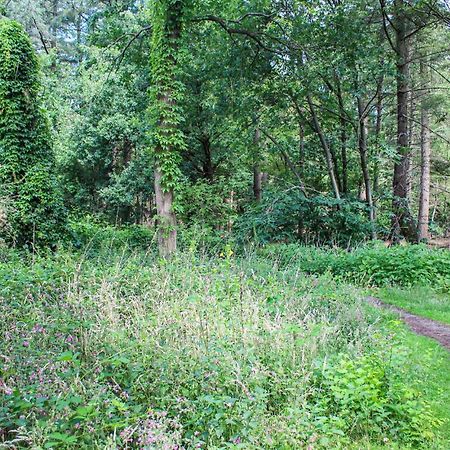 Huiske Oan T Bos Lage Mierde Εξωτερικό φωτογραφία