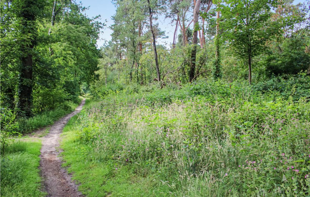 Huiske Oan T Bos Lage Mierde Εξωτερικό φωτογραφία